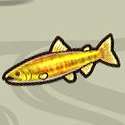 Golden Salmon