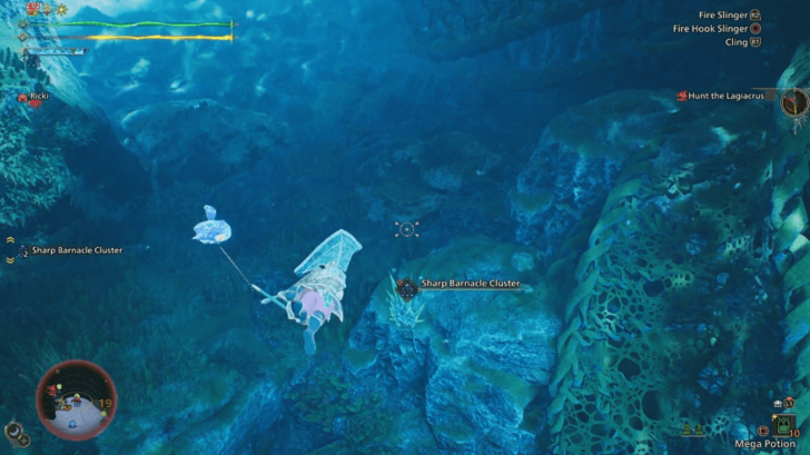 Sharp Barnacle Clusters