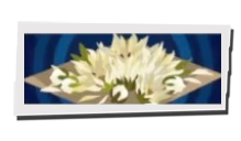 P5 Phantom X - Daisy Potpourri Image