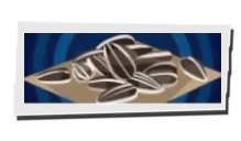 P5 Phantom X - Sunflower Seeds (Gift) Image