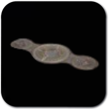 Harkonnen Three Circle Carpet