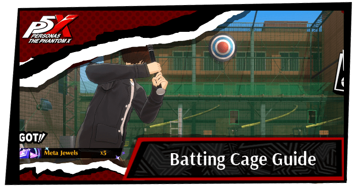 Batting Cage Banner