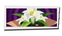 P5 Phantom X - Preserved Flower Image