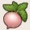 Colossal Pink Turnip