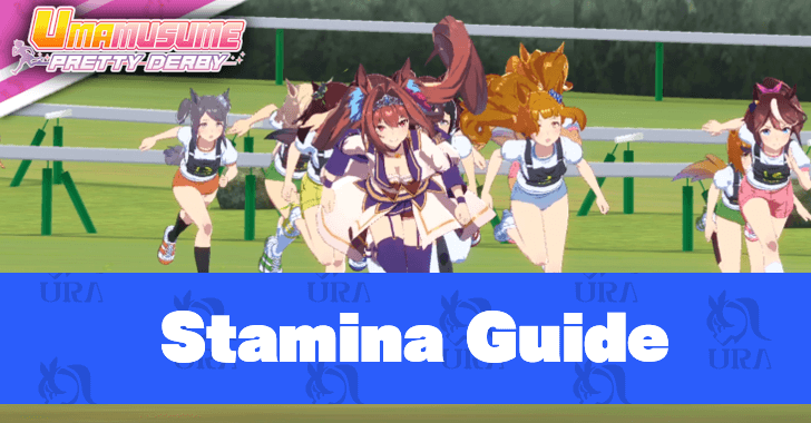 Stamina Guide