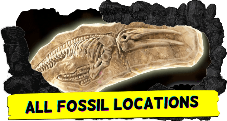 All Fossil Locations