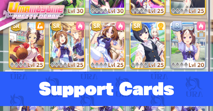 Support Cards Top Banner