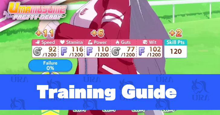 Training Guide What Stats to Train