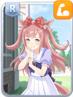 Agnes Digital R Power