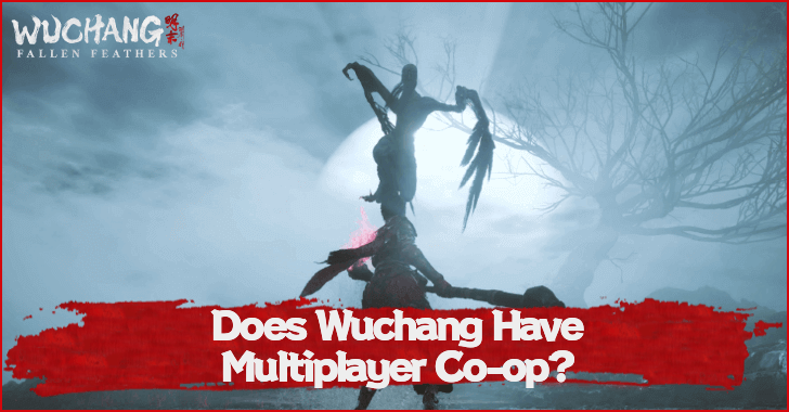 Does Wuchang Fallen Feathers Have Multiplayer Co-op?