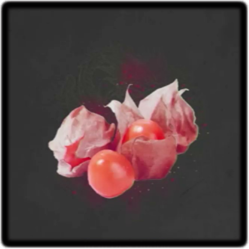 Crimson Lantern Fruit