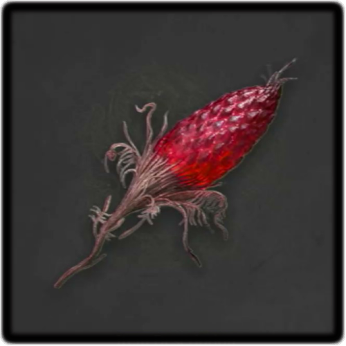 Full-Grown Red Mercury