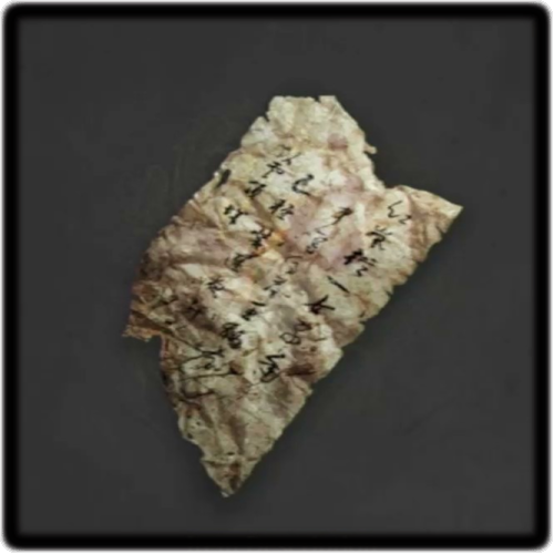 Secret Letter (Rebel Camp)