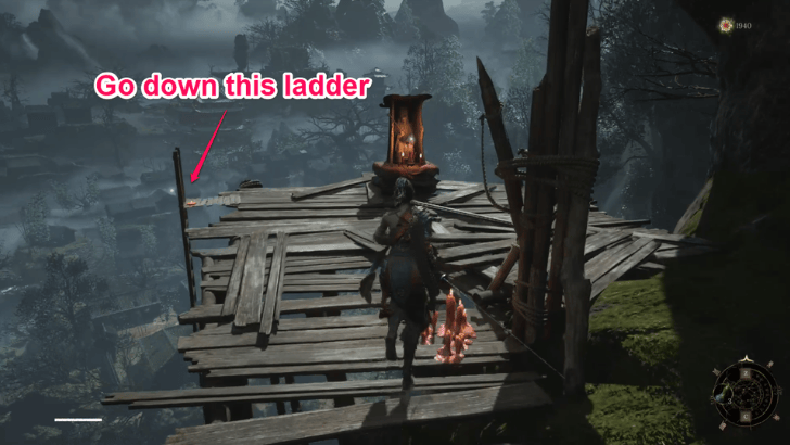 Buddha Cliffs Ladder