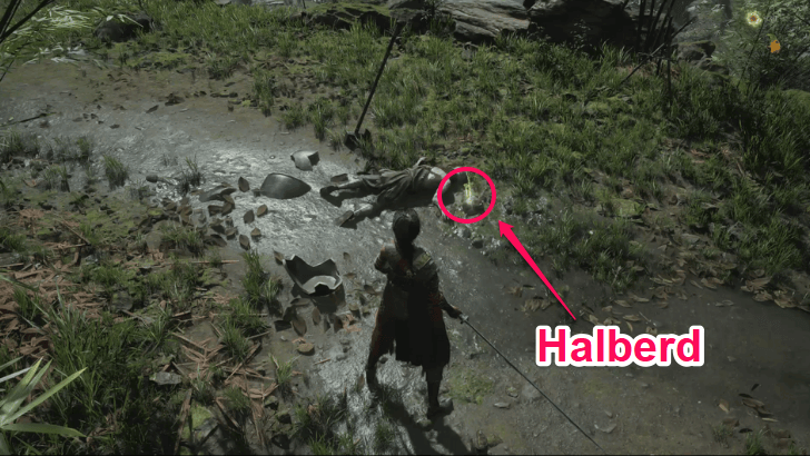 Halberd Location
