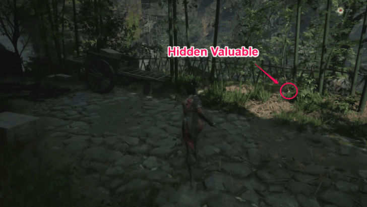 Buddha Cliffs Lost Package Location