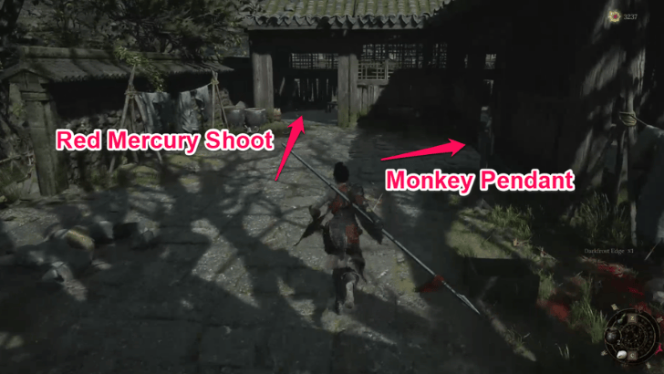 Monkey Pendant Location