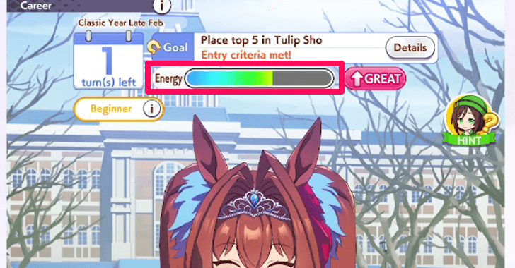 Energy is used for training.png