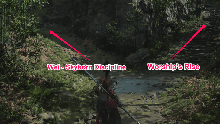 Wei - Skyborn Discipline Location