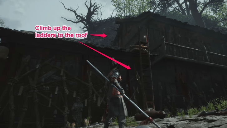 Ming Soldier Ladders