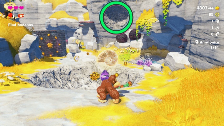 Ammonite 4 Fossil Overworld Location