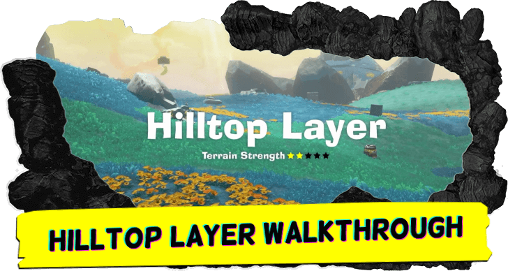 Hilltop Layer Walkthrough