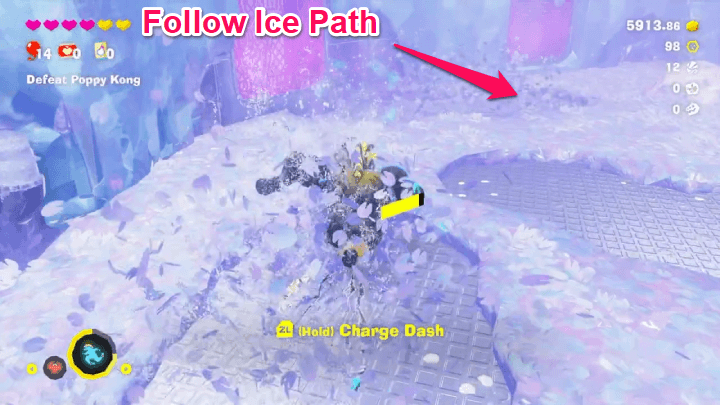 Check Ice Path