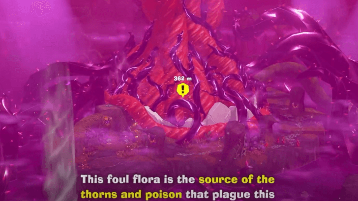 Head to the foul flora