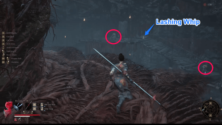 Lashing Whip Location