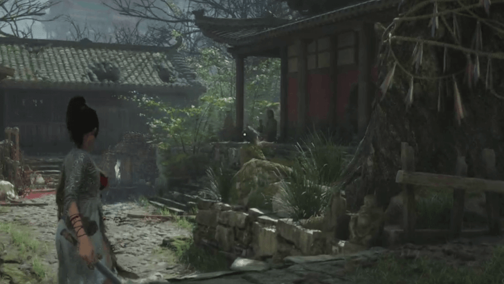 Cuckoos Show the Right Path