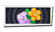 P5 Phantom X - Plant Cover Image