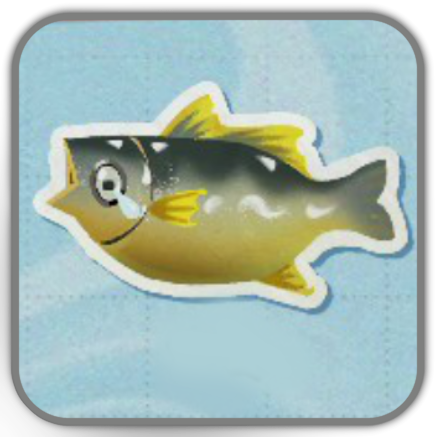 Coastal Yellow Croaker