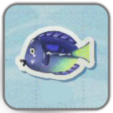 Blue Tang