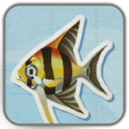Angelfish