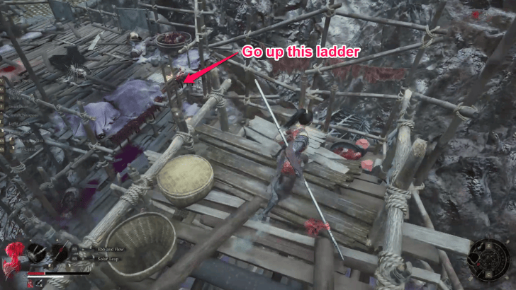 Tower of Sacrifice Ladder