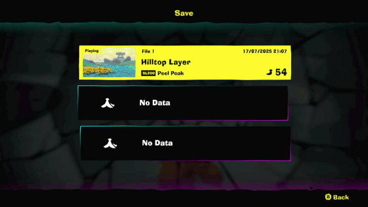 No Option to Check Playtime