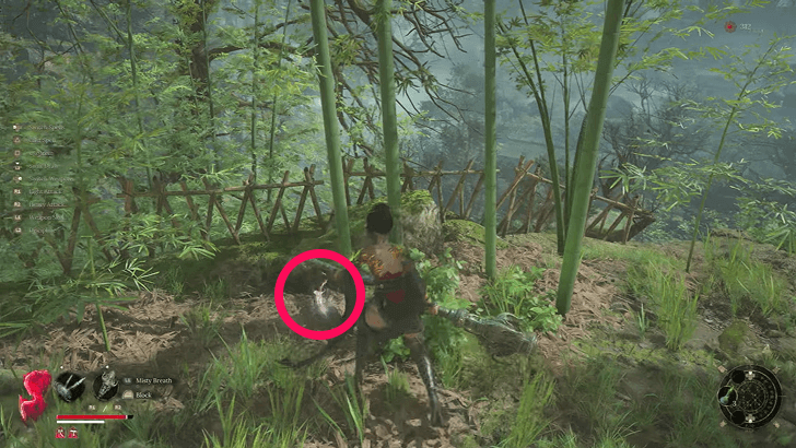 How to Get Lost Package