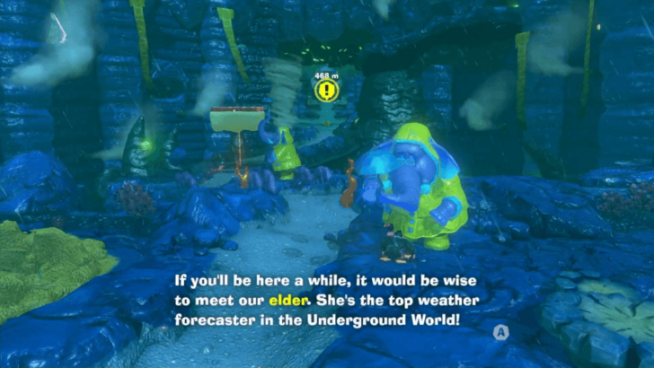 Talk to the First Elephant