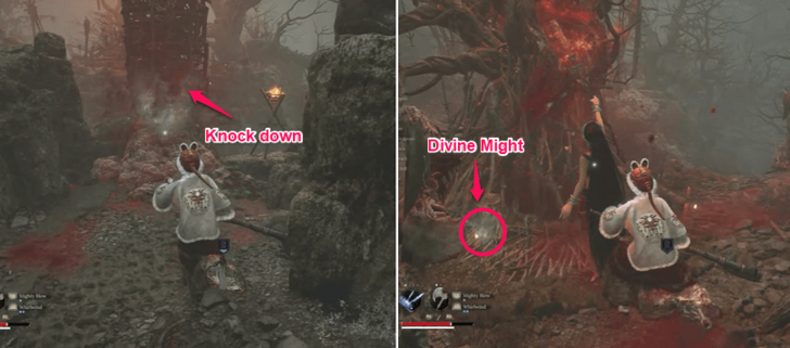 Found in Doomwillow Beach.