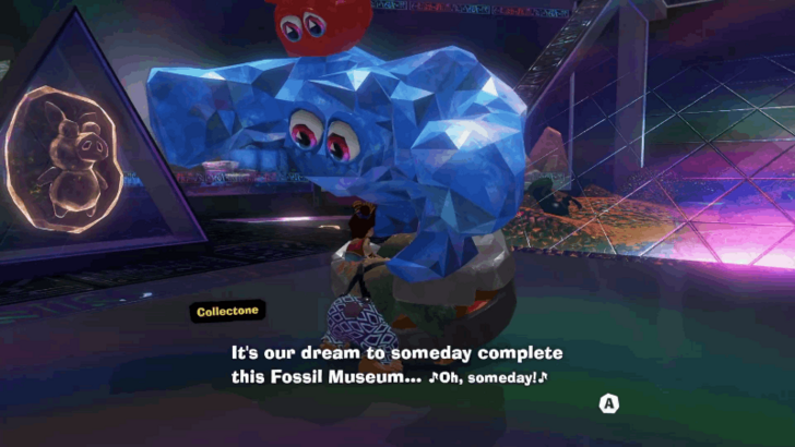 Fossil Museum Collectone