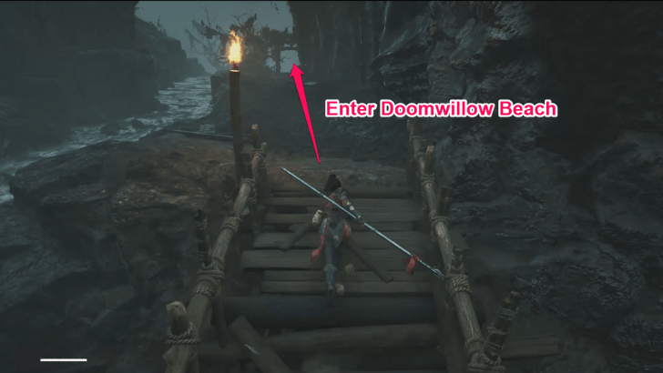 Enter Doomwillow Beach