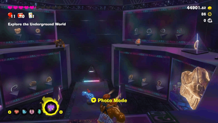 Fossils in Fossil Museum