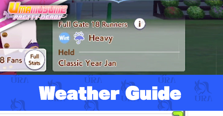 Weather Guide