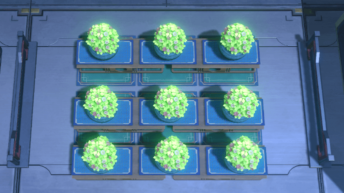 Honkai Star Rail - Inventory Arrangement Order