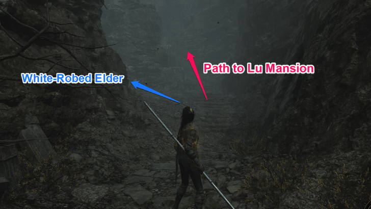 White-Robed Elder in Doomwillow Beach