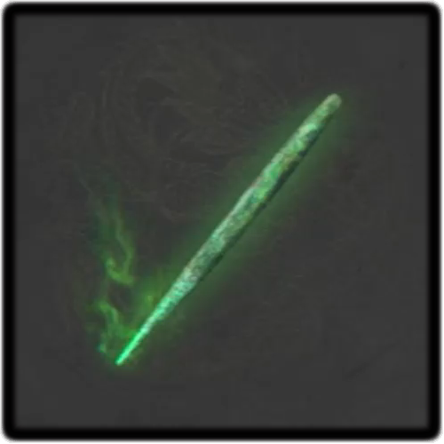 Bone Needle - Blight