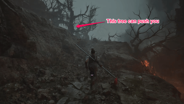 Doomwillow Beach Pushing Tree