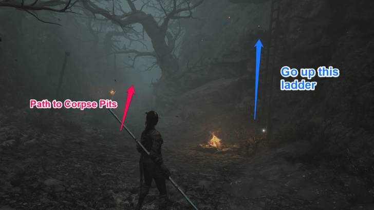 Doomwillow Beach Corpse Pits Path