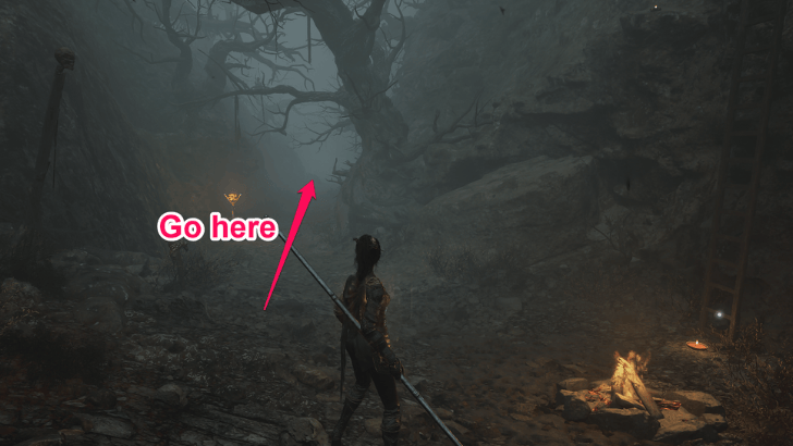 Doomwillow Beach Soulwood Location