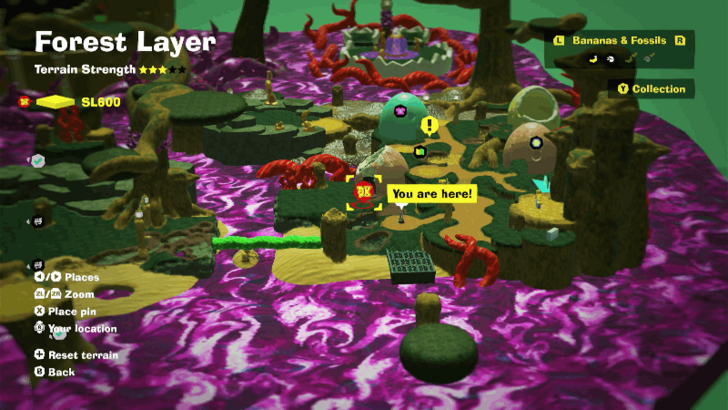 Forest Layer Challenge Course 1 Map Location